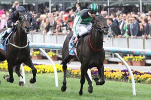 Cox Plate Day Video